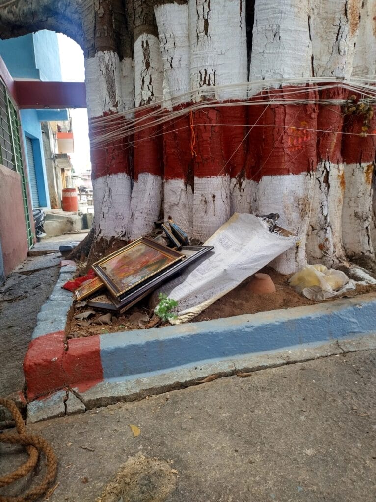 Discarded religious items under a tree