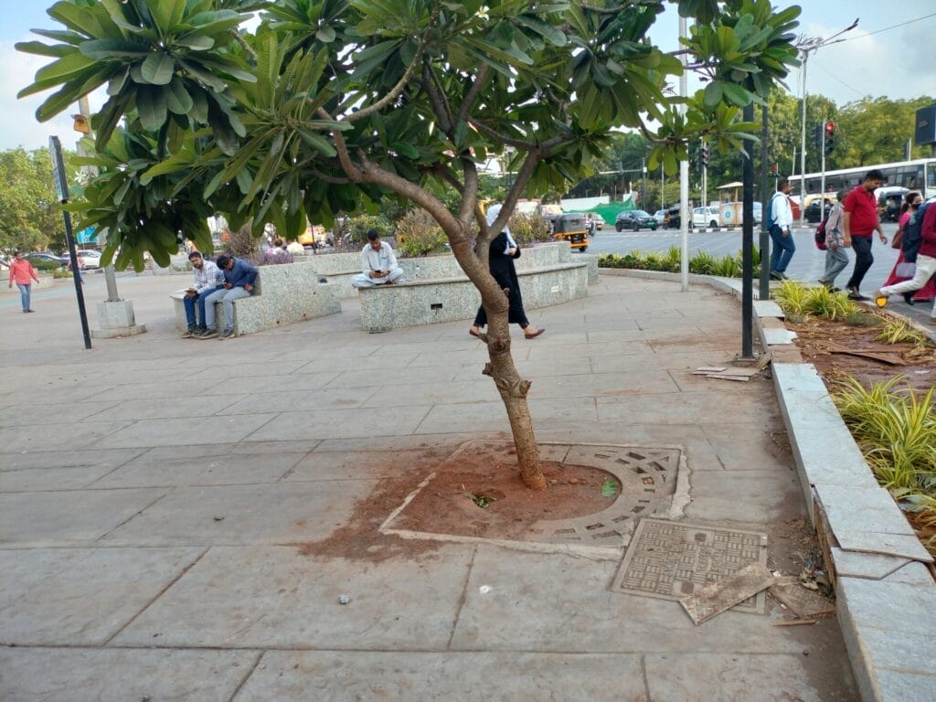 Kalanagar traffic island