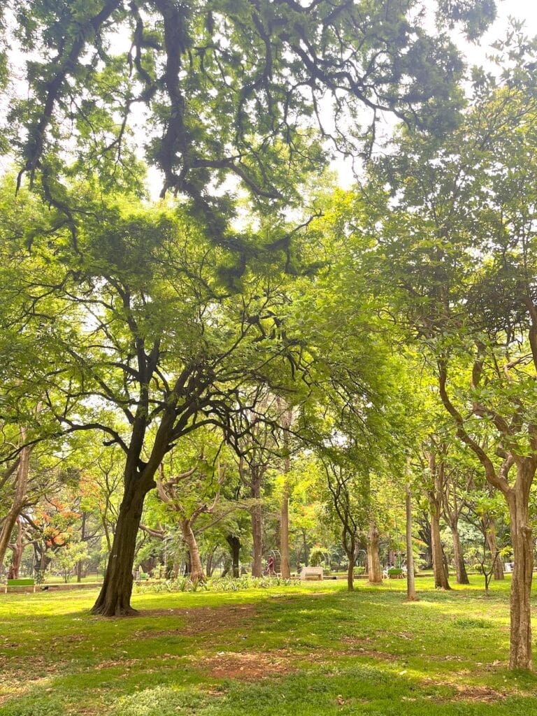 Cubbon park