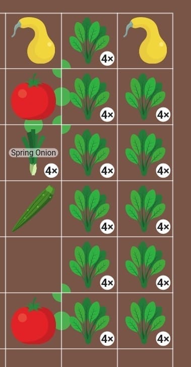 planting grid = details on placement and number of plants