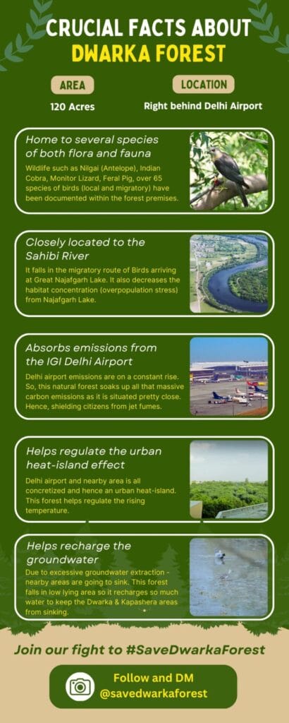 A graphic showing crucial facts related to Dwarka Forest and the movement around it