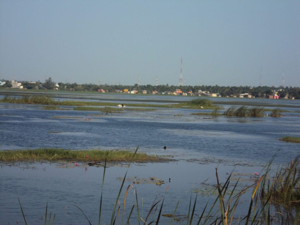 Ambattur Lake