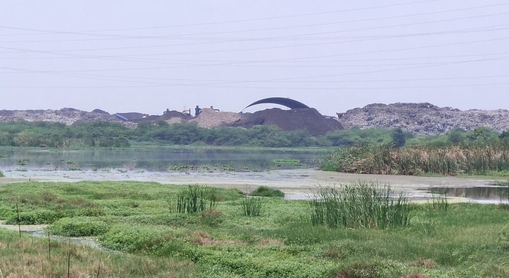 Perungudi dumpyar in Pallikarani Marshland