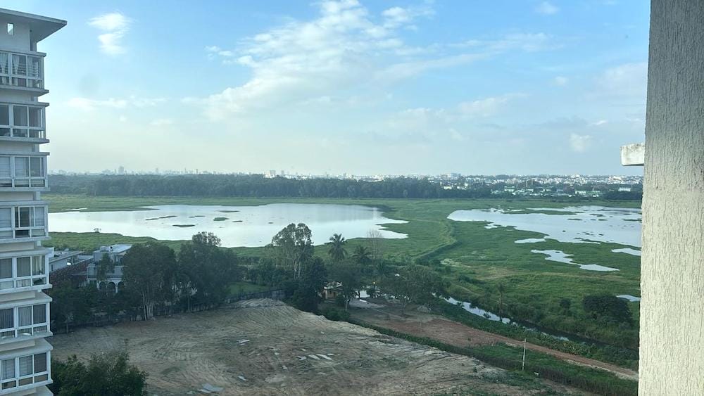 Bellandur lake largely covered with hyacinth