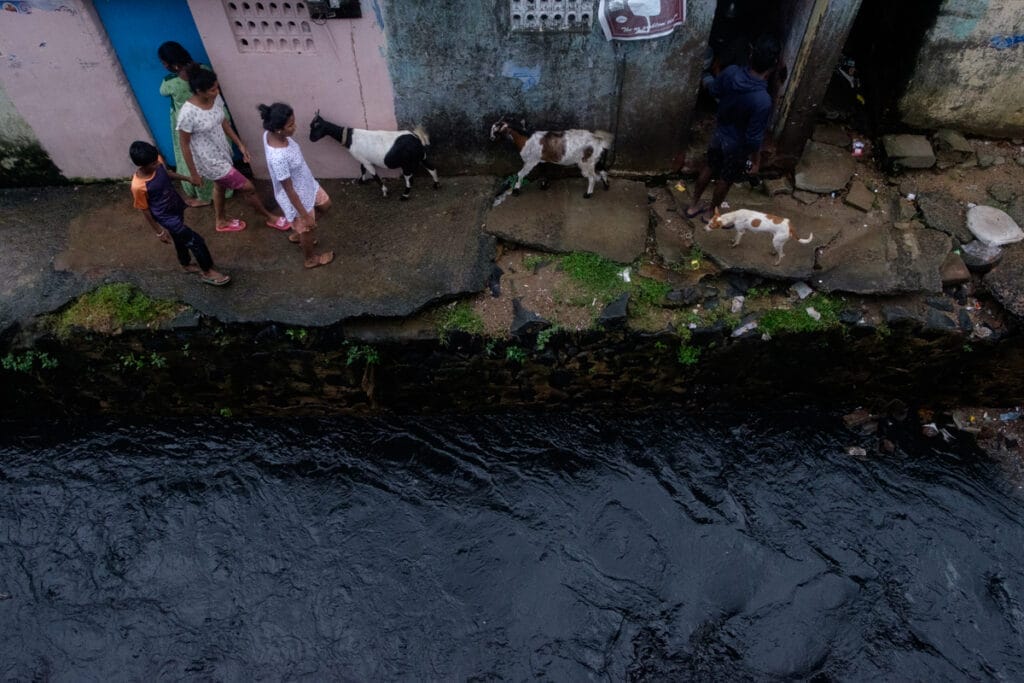 adyar river water looks black during cyclone fengal