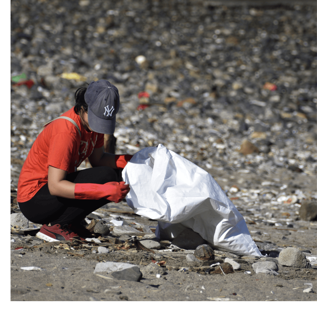 Beach clean up