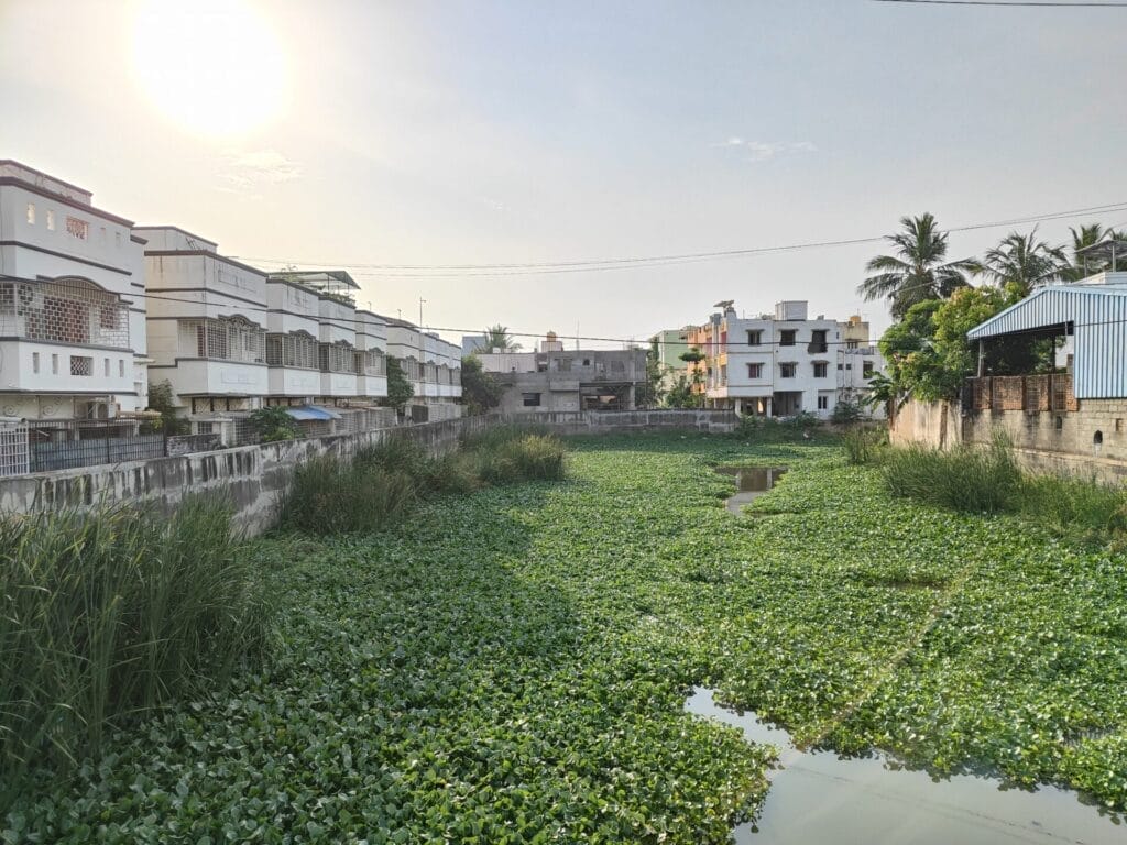 Excess water canal of Keezhkattalai Lake