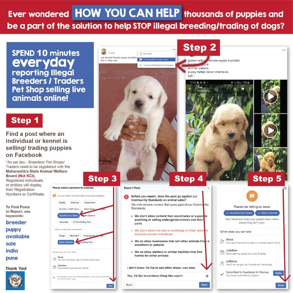 steps to stop illegal breeding