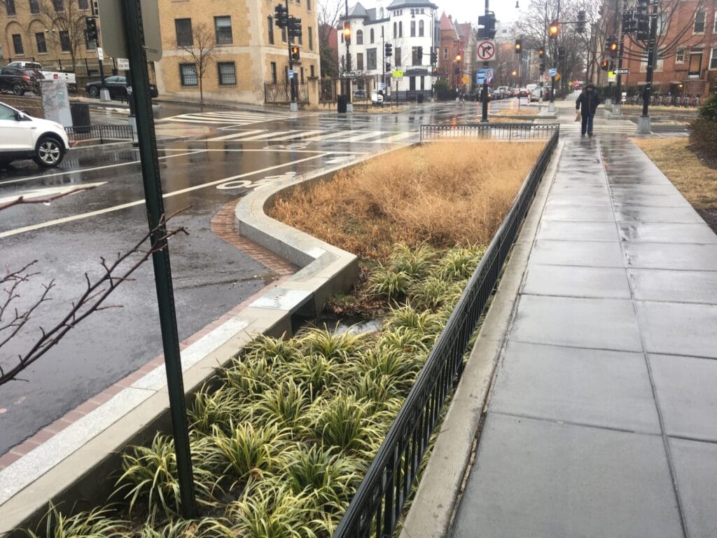 bioswales