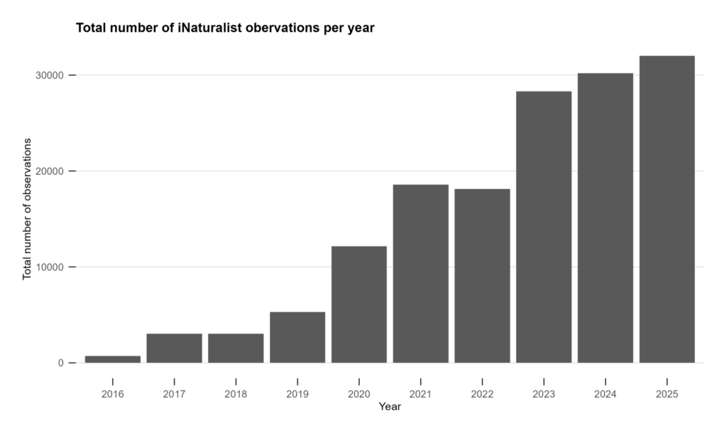 Chart showing Total number of iNaturalist observations per year