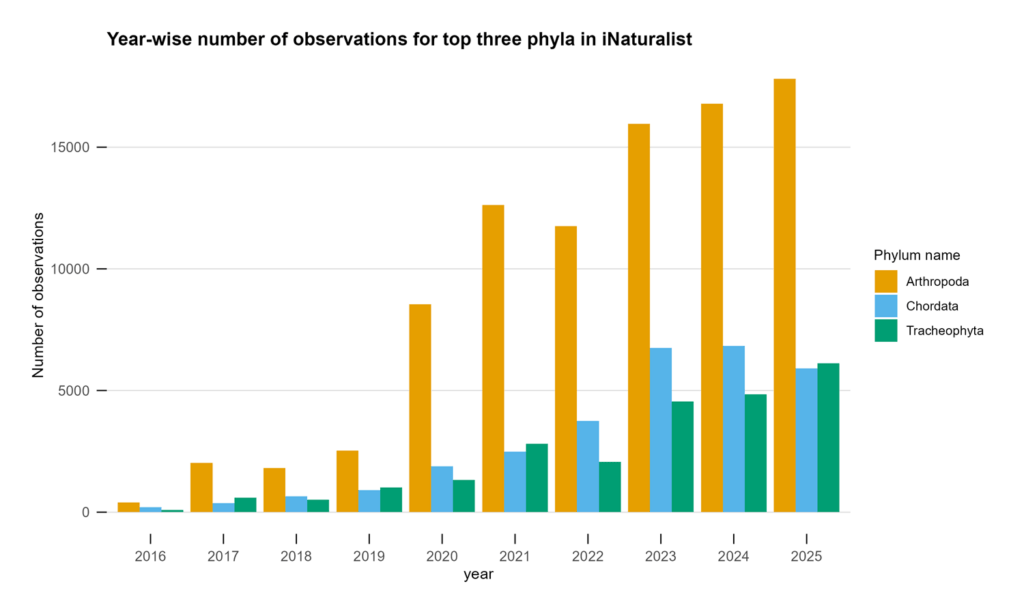 Year-wise number of observations for top three phyla report